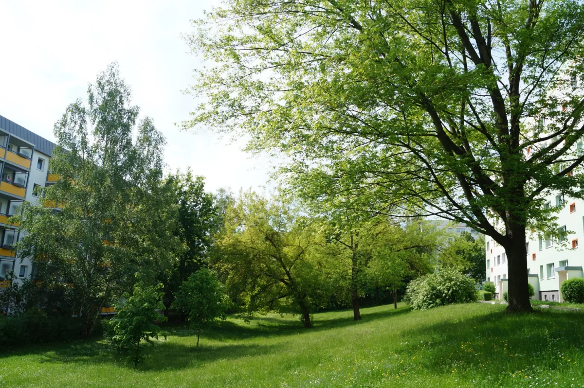 Grünflächen