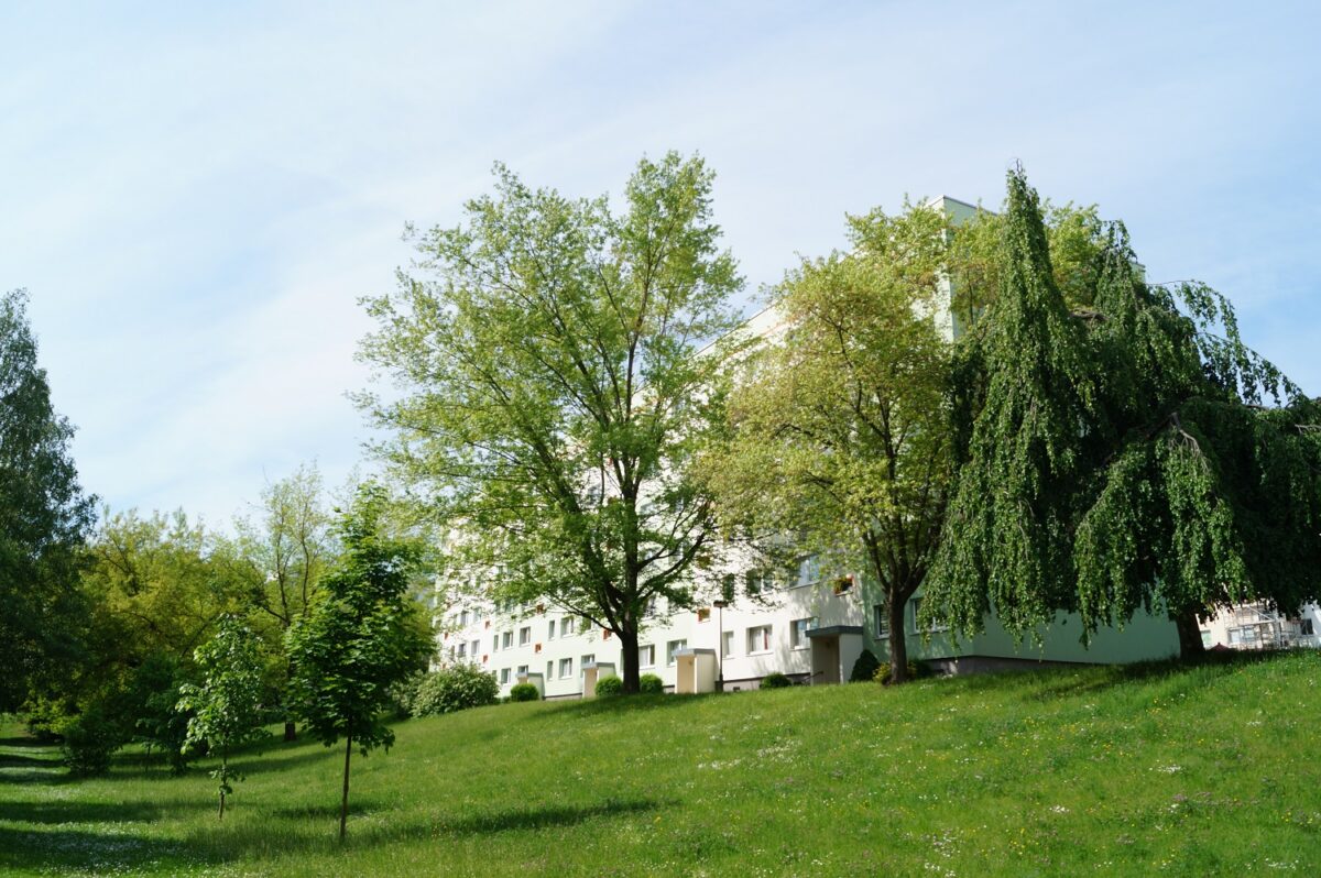 Grünflächen