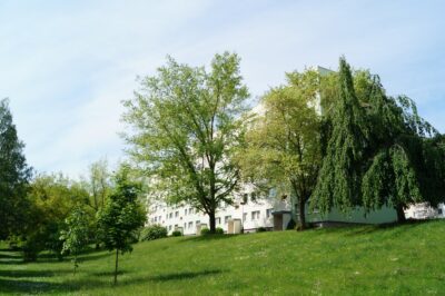 2-Raum-Wohnung in Pößneck-Ost - Grünflächen (225314)